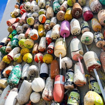Half Shell Dockside - Outside - Bars Near Me - Apalachicola, Florida