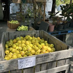 Stanley's Produce and Bakery