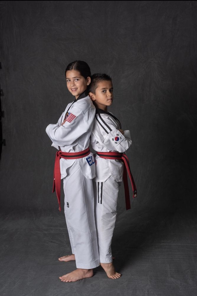 Parks Taekwondo Logo