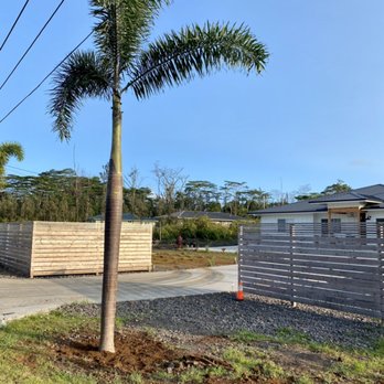 Kaumana Construction Services Hawaii - Palm Installation-03.13.21 - Excavation Services Near Me Kaumana Construction Services Hawaii - Palm Installation-03.13.21 - Excavation Services Near Me