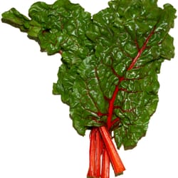 My Organic Food Club - Chard Rules!