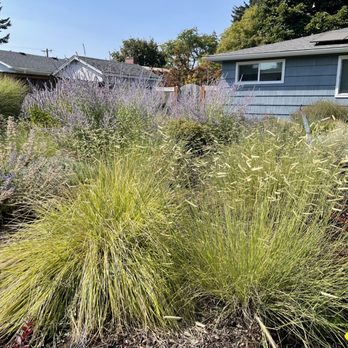 Eugene Garden Coach - Landscape Architects or Designers Near Me Eugene Garden Coach - Landscape Architects or Designers Near Me