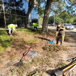 Roses Landscaping - Preparing soil to plant