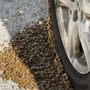 Bee Friendly Honey Bee Management Solutions