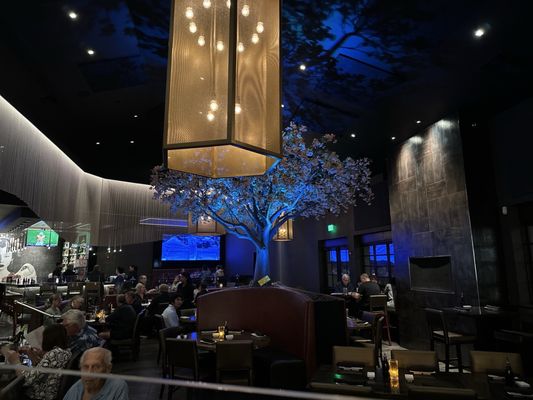 Okura Robata Grill & Sushi Bar by null