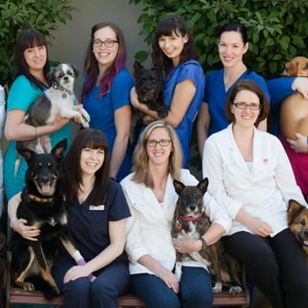 Burnaby Veterinary Hospital - Some of the members of the BVH Team. - Veterinarians Near Me - Burnaby, British Columbia Burnaby Veterinary Hospital - Some of the members of the BVH Team. - Veterinarians Near Me - Burnaby, British Columbia