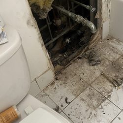 Newport Management - What's waiting for you when you moved to Newport mold in your apartment and cover up when the city inspector comes