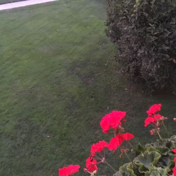 Nieves Landscaping & Maintenance Services - red geranias - Lawn Services Near Me - Boise, Idaho Nieves Landscaping & Maintenance Services - red geranias - Lawn Services Near Me - Boise, Idaho