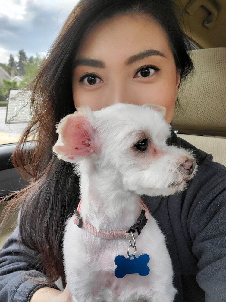 CANDY’S DOG SALON 25 Photos & 51 Reviews 47814 Warm Springs Blvd