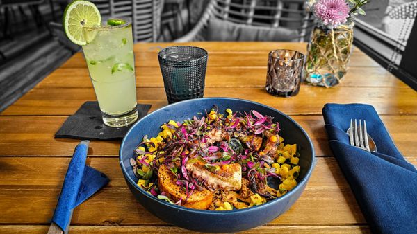 Octopus Baja by null