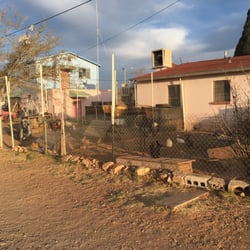 Oasis Rv Park & Apartments - Rabbit and chickens in the campground lot.