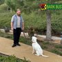 Photo of Bark Busters Home Dog Training-South Orange County