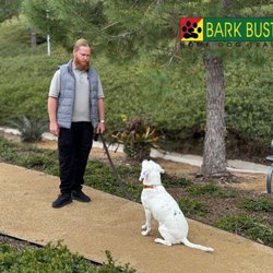 Bark Busters Home Dog Training-South Orange County - BarkBusters pet training classes focus on everything from puppy training to behavioral modification.