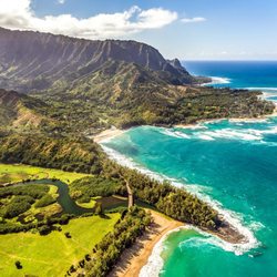 World Class Notary - Fingerprinting Kauai
