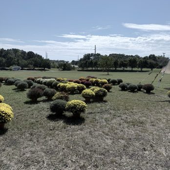 Mountain Man Farms - New shipment coming following day - Flowers & Gifts Near Me - Concord, North Carolina Mountain Man Farms - New shipment coming following day - Flowers & Gifts Near Me - Concord, North Carolina