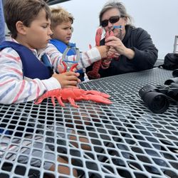 Lobster Boat Tours - Catch Your Dinner