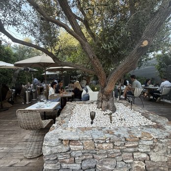 Alisa Wine & Friends - Greek Near Me - Venice, California Alisa Wine & Friends - Greek Near Me - Venice, California
