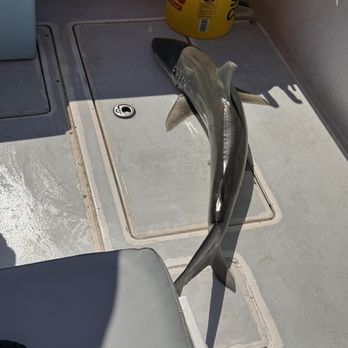 Seaplay Charters - Boating Near Me - Galveston, Texas