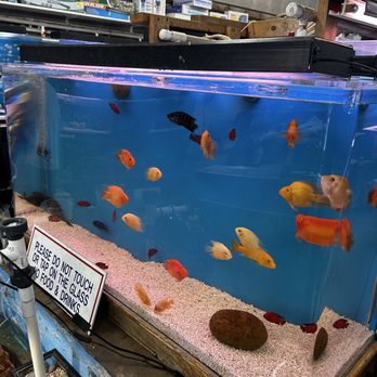 Tokyo Aquarium - Aquarium Services Near Me - Los Angeles, California