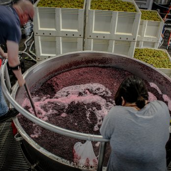The Wine Foundry - Crush Camp, 2019. Stu leads a couple in punch down. - Wineries Near Me - Napa, California The Wine Foundry - Crush Camp, 2019. Stu leads a couple in punch down. - Wineries Near Me - Napa, California