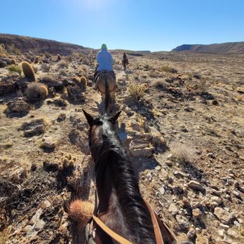 Cowboy Trail Rides - Limos Near Me - Las Vegas, Nevada