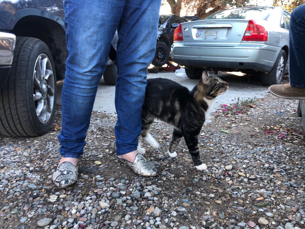 WALLY’S WORLD NURSERY Updated October 2024 11 Photos & 14 Reviews