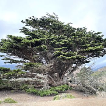 Mori Point - Hiking Near Me - Pacifica, California