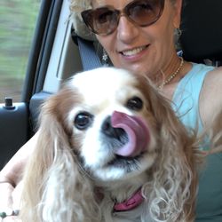 Rocky Rose Cavaliers - Best friend ever!