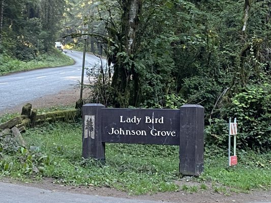 Lady Bird Johnson Grove Trail by null