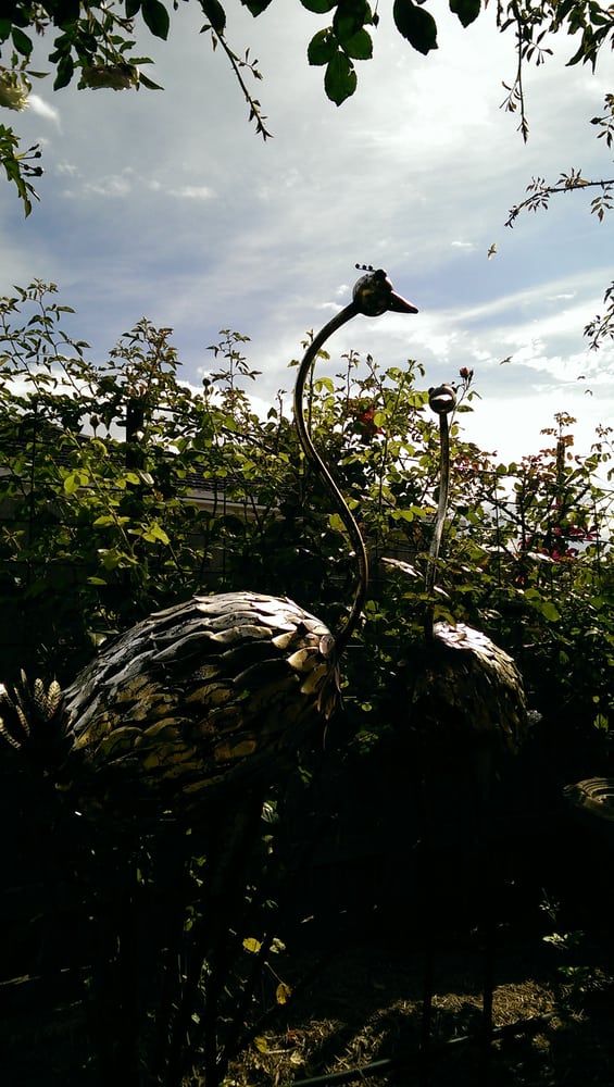 ROSE CAFE 87 Powlett St, Kilmore Victoria, Australia Restaurants