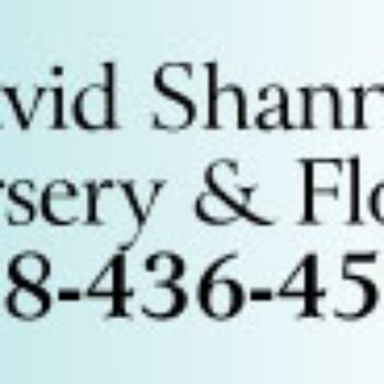 David Shannon Florist & Nursery - Nurseries & Gardening Near Me - Brooklyn, New York David Shannon Florist & Nursery - Nurseries & Gardening Near Me - Brooklyn, New York