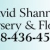 David Shannon Florist & Nursery gift card