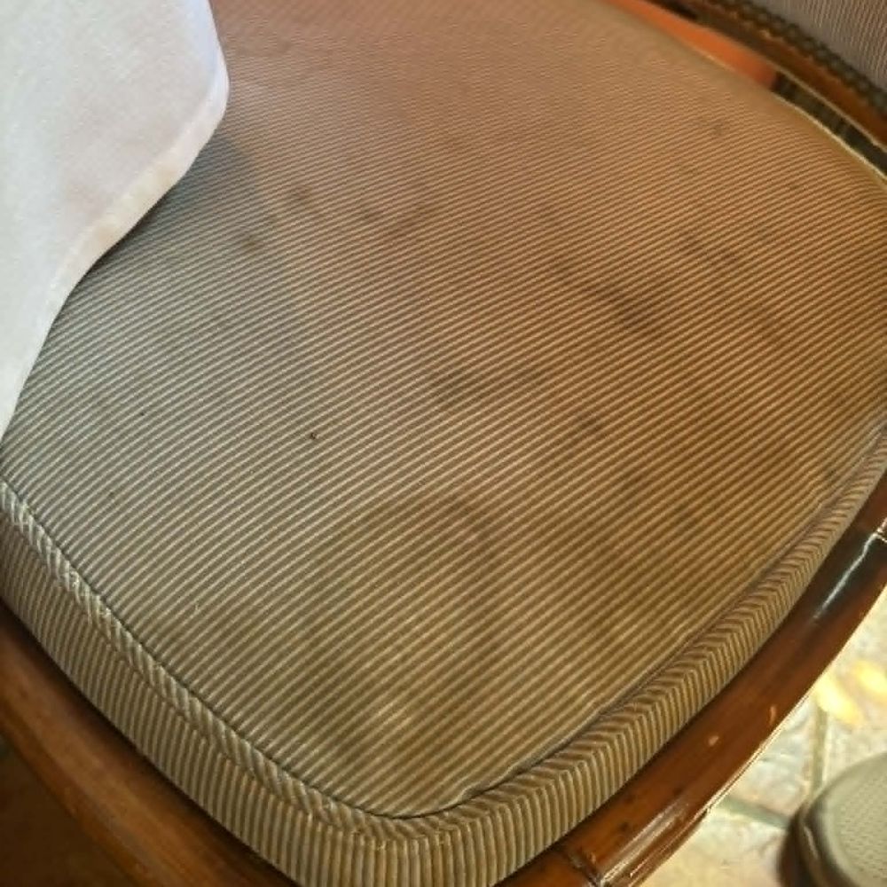 Maison Martinique - This is the chair that greets you in the dining room to sit on. - French Near Me - Vero Beach, Florida Maison Martinique - This is the chair that greets you in the dining room to sit on. - French Near Me - Vero Beach, Florida