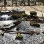 Photo of PMZ Landscaping