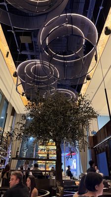 Black+Blue Toronto by null