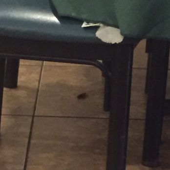 Taiwan Cafe - Roaches !! - Taiwanese Near Me - Plano, Texas Taiwan Cafe - Roaches !! - Taiwanese Near Me - Plano, Texas