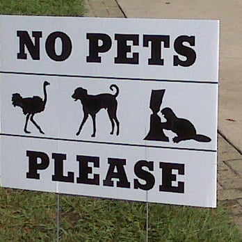 Durham Farmers' Market - All are welcome, except for pet ostriches and the like - Farmers Market Near Me - Durham, North Carolina Durham Farmers' Market - All are welcome, except for pet ostriches and the like - Farmers Market Near Me - Durham, North Carolina
