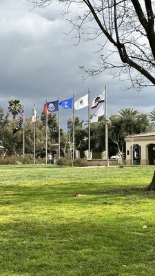 Central Park by null