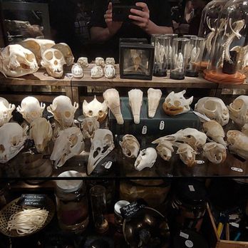 Prometheus Esoterica - Antiques Near Me - Winter Park, Florida Prometheus Esoterica - Antiques Near Me - Winter Park, Florida