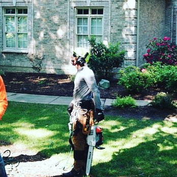 Mr. Beaver Tree Service - Landscaping Near Me Mr. Beaver Tree Service - Landscaping Near Me