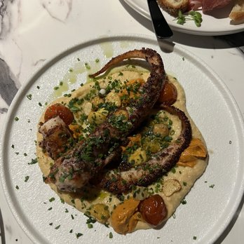 Azzurri - Charred Octopus - Italian Near Me - Harvey Cedars, New Jersey
