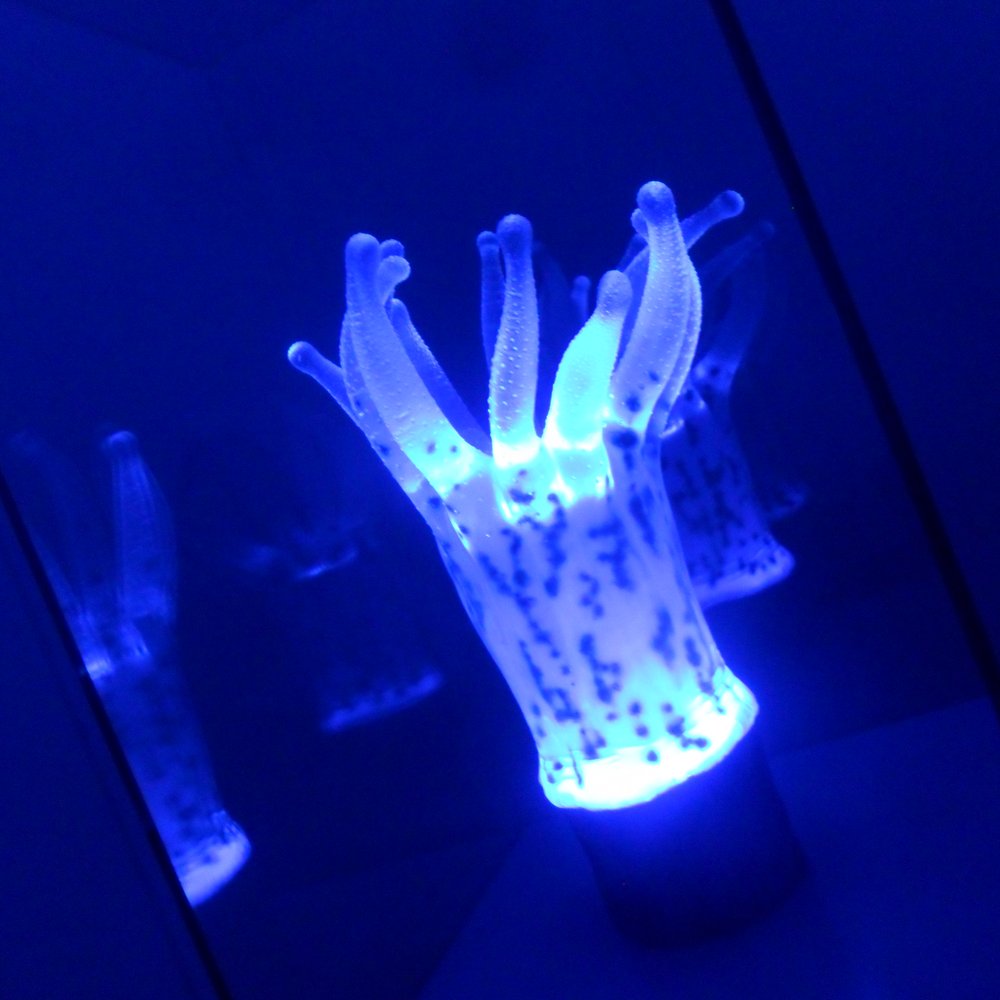 Panometer Leipzig - Coral - Museums Near Me - Leipzig, SN