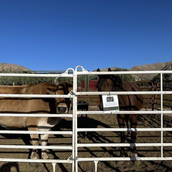 Friends in Need Animal Sanctuary - Community Service/Non-Profit Near Me - Eagle Mountain, Utah Friends in Need Animal Sanctuary - Community Service/Non-Profit Near Me - Eagle Mountain, Utah