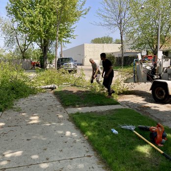 Dennis & Son Tree Service - Tree Services Near Me - Milwaukee, Wisconsin
