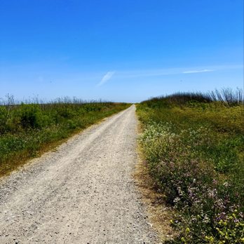 San Lorenzo Trail - Life is a journey. - Hiking Near Me - San Lorenzo, California San Lorenzo Trail - Life is a journey. - Hiking Near Me - San Lorenzo, California
