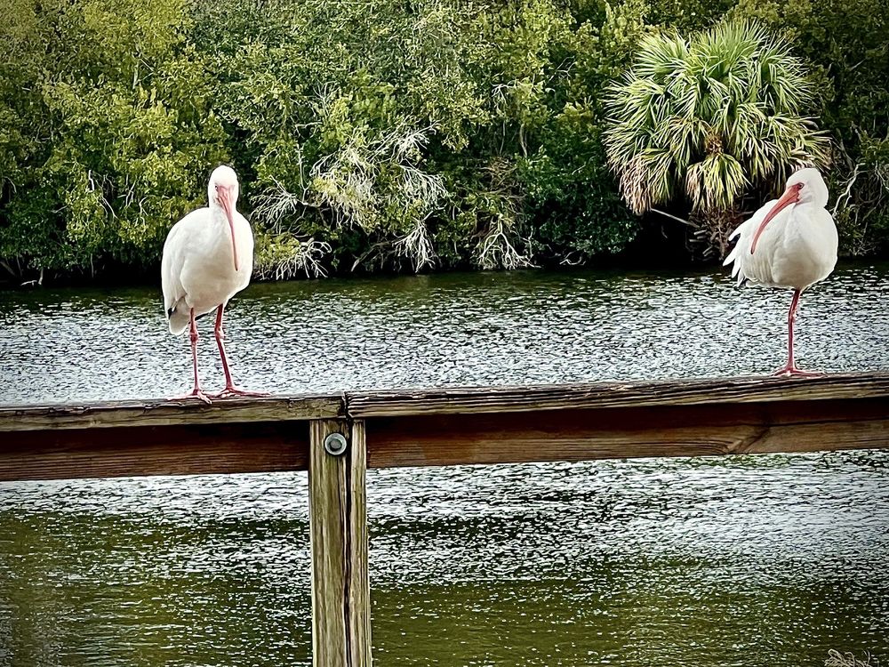Lakeside Park Image