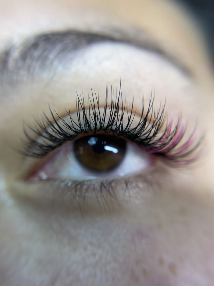 Lash of Luxury Logo