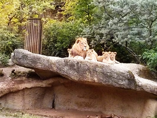 Zoo Basel by null