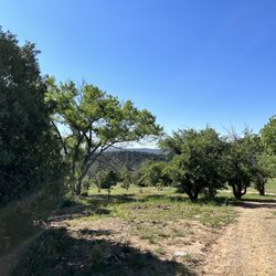 Ojito de San Antonio Open Space