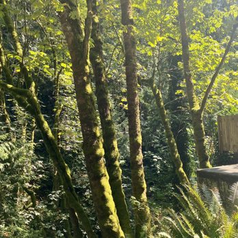 Chuckanut Drive - Hotels & Travel Near Me - Bellingham, Washington